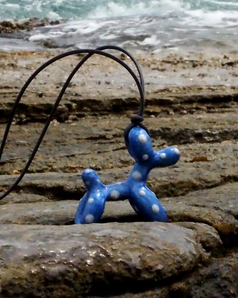 Dog blue poua